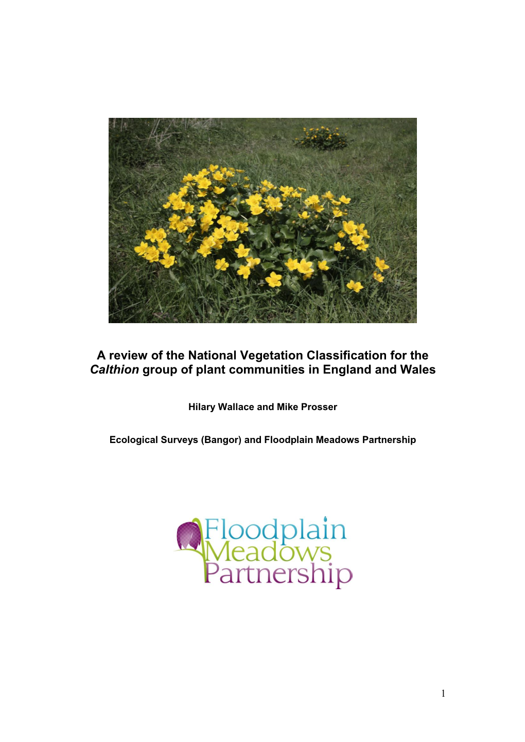 A Review of the NVC for the Calthion Group of Plant Communities