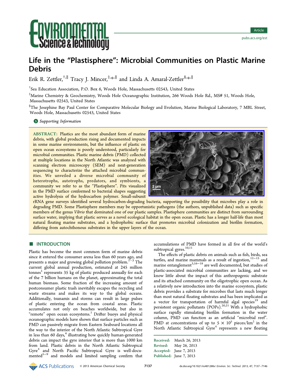 Life in the Plastisphere: Microbial Communities on Plastic Marine