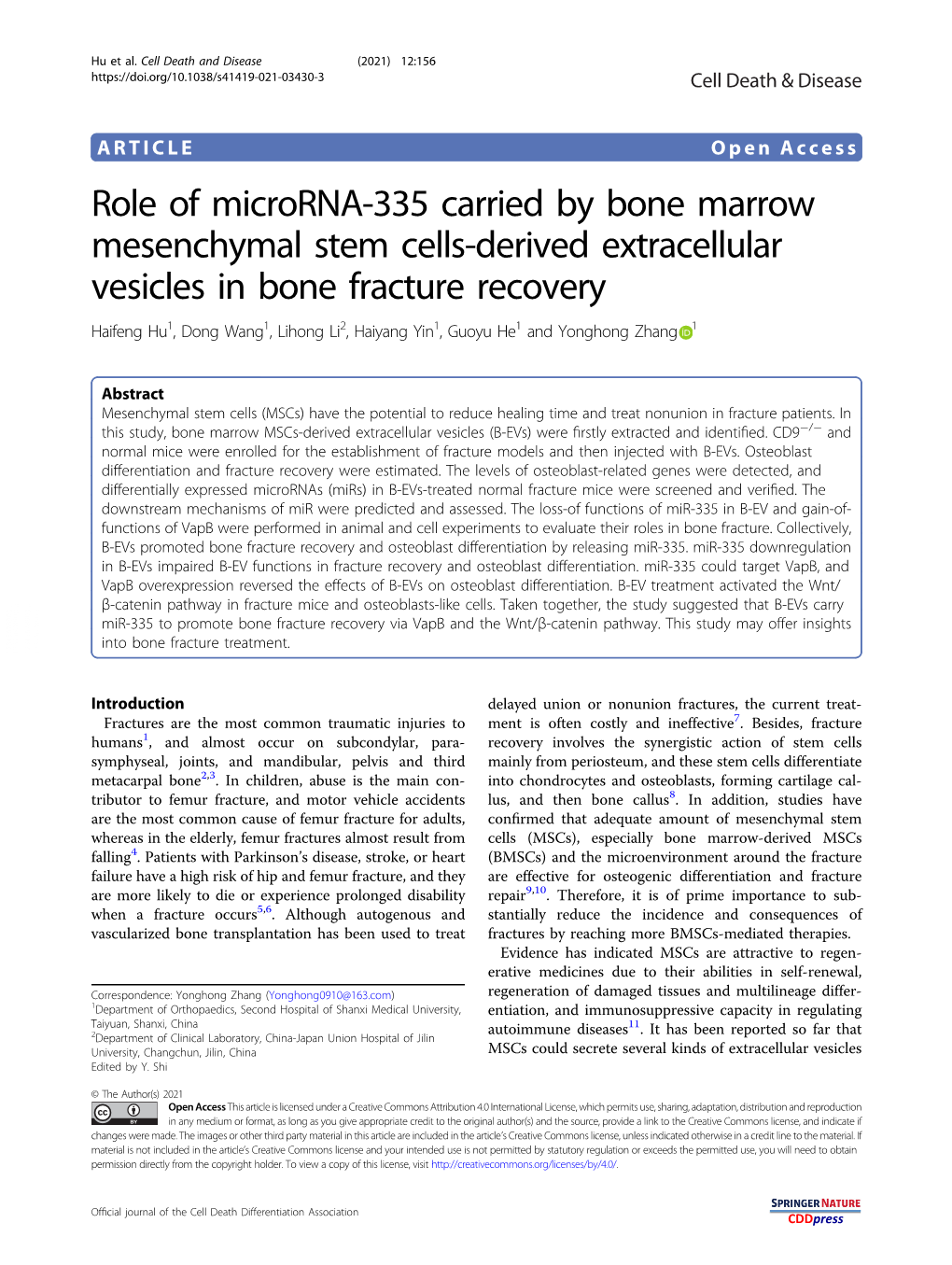 Role of Microrna-335 Carried by Bone Marrow Mesenchymal Stem Cells-Derived Extracellular Vesicles in Bone Fracture Recovery