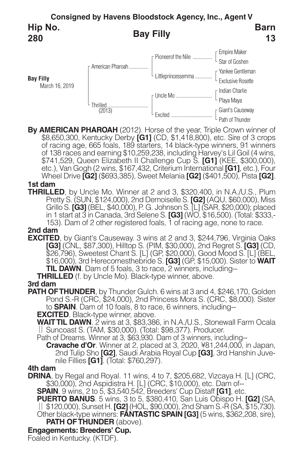 Bay Filly Barn 13 Hip No