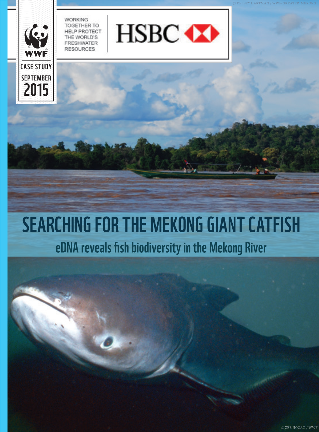 SEARCHING for the MEKONG GIANT CATFISH Edna Reveals Fish Biodiversity in the Mekong River