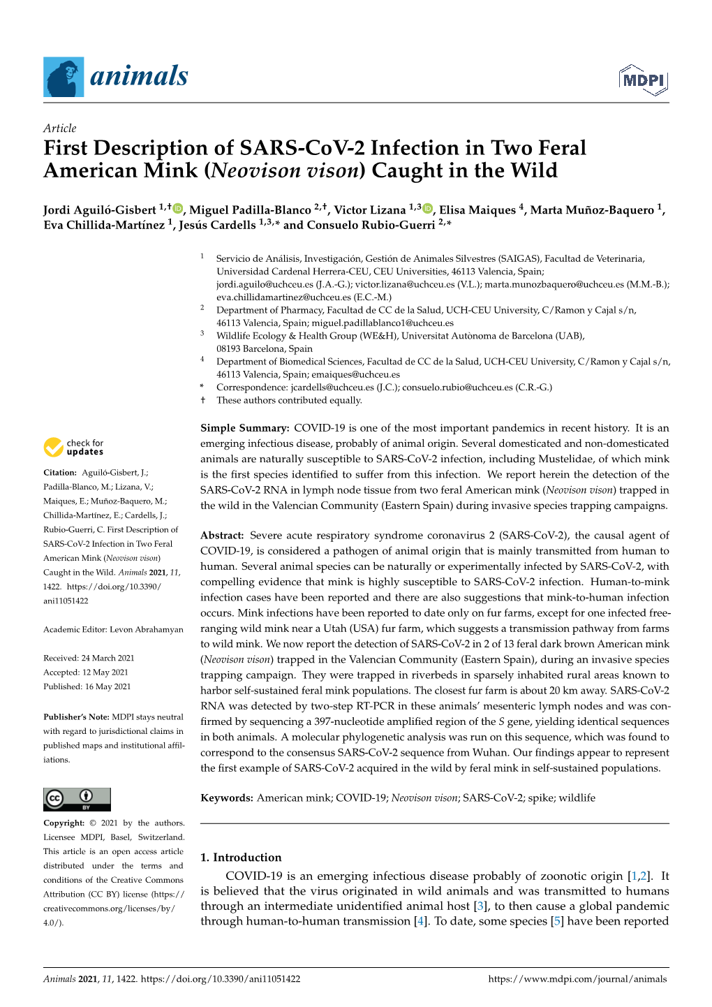 First Description of SARS-Cov-2 Infection in Two Feral American Mink (Neovison Vison) Caught in the Wild