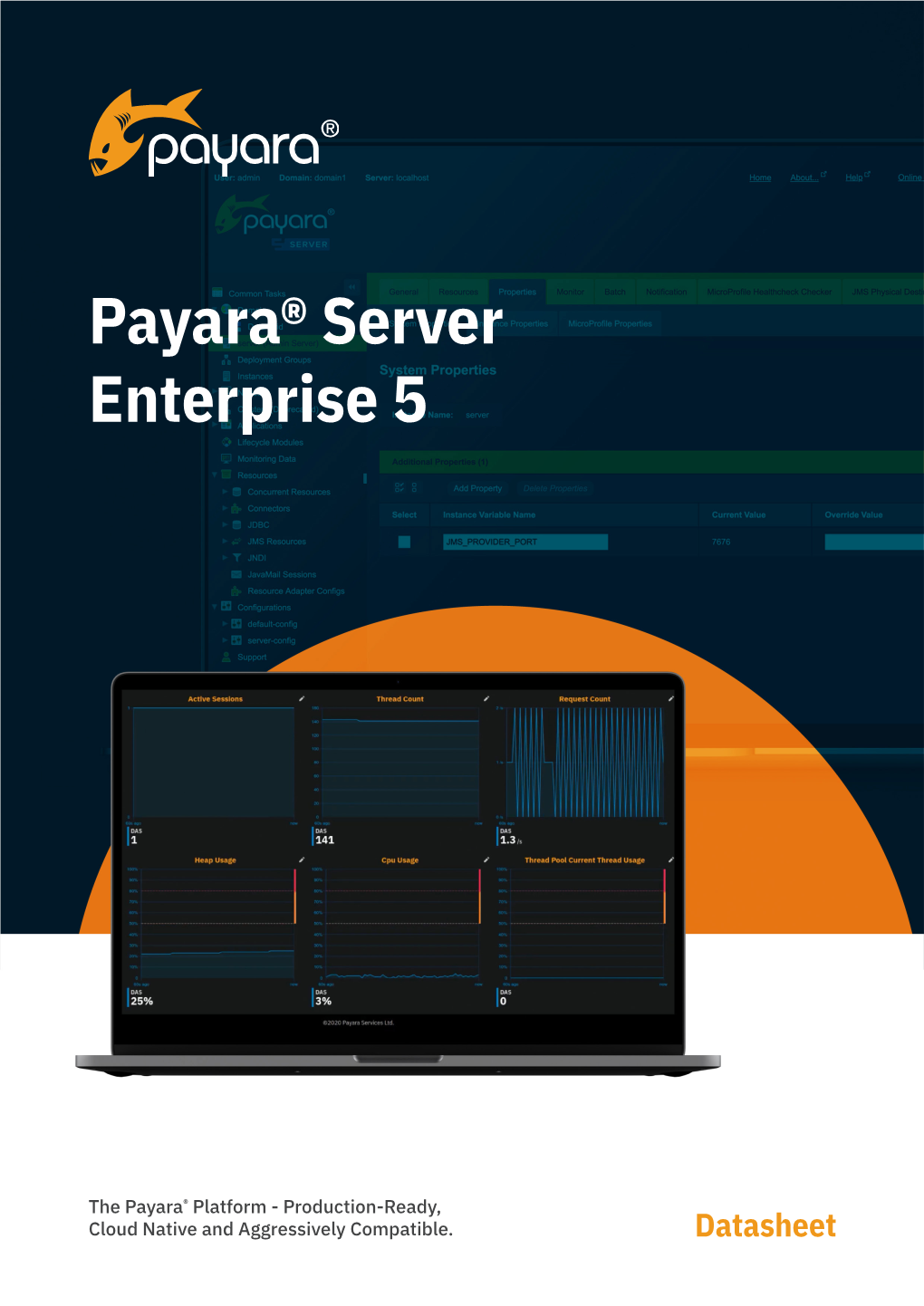 Payara® Server Enterprise 5
