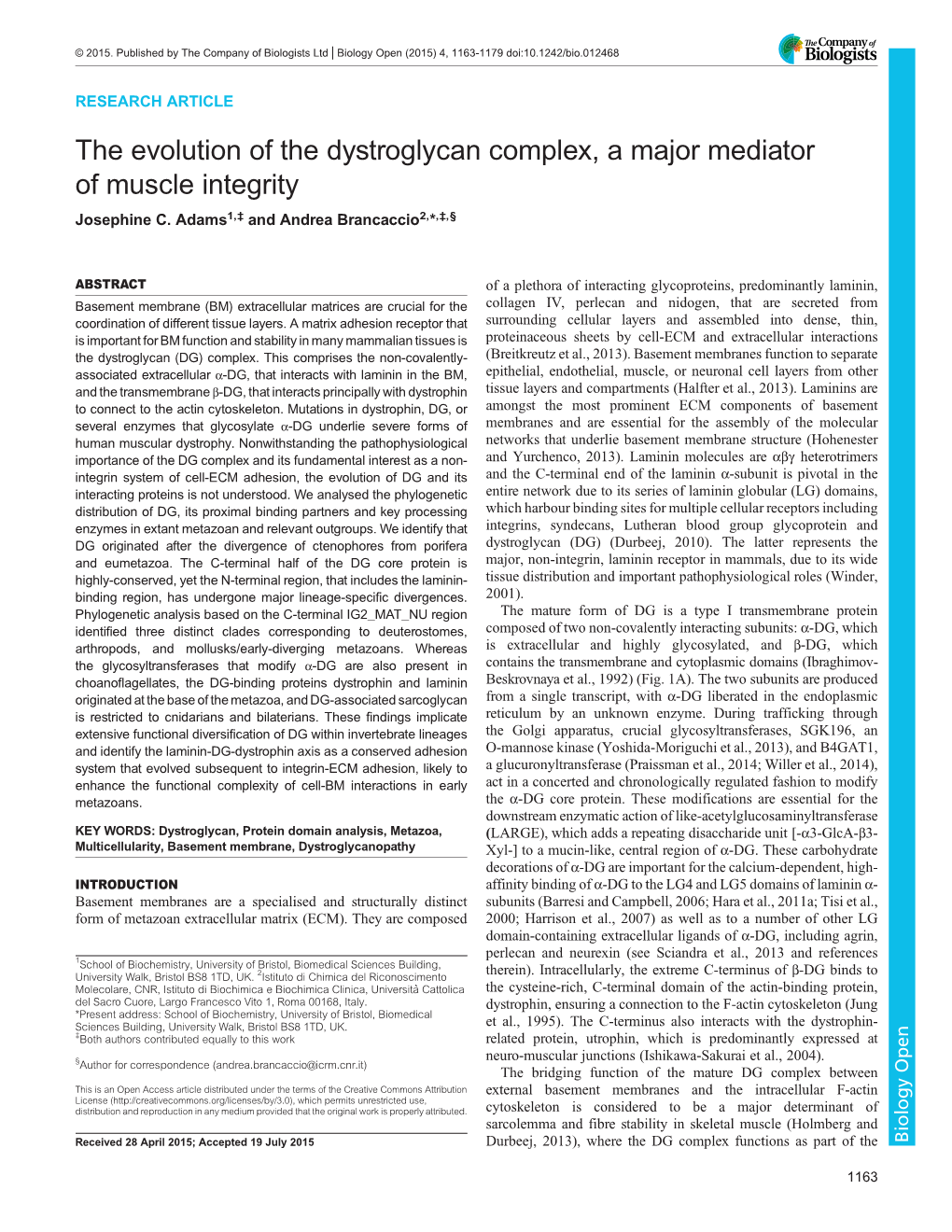 The Evolution of the Dystroglycan Complex, a Major Mediator of Muscle Integrity Josephine C