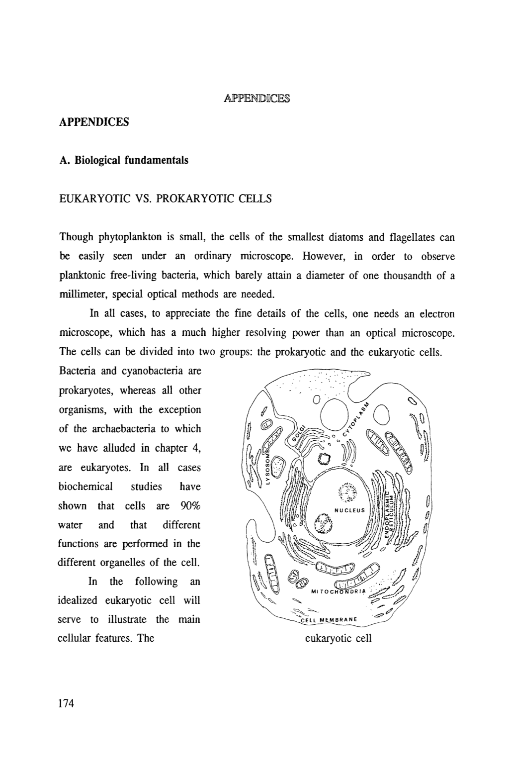 APPENDICES A. Biological Fundamentals EUKARYOTIC VS