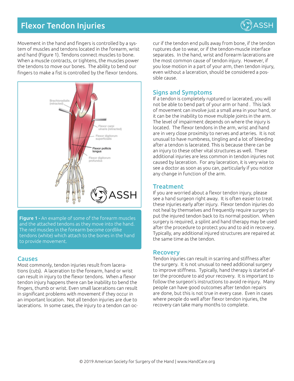 Flexor Tendon Injuries