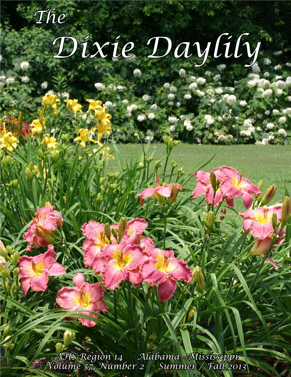 Summer/Fall 2013 Dixie Daylily