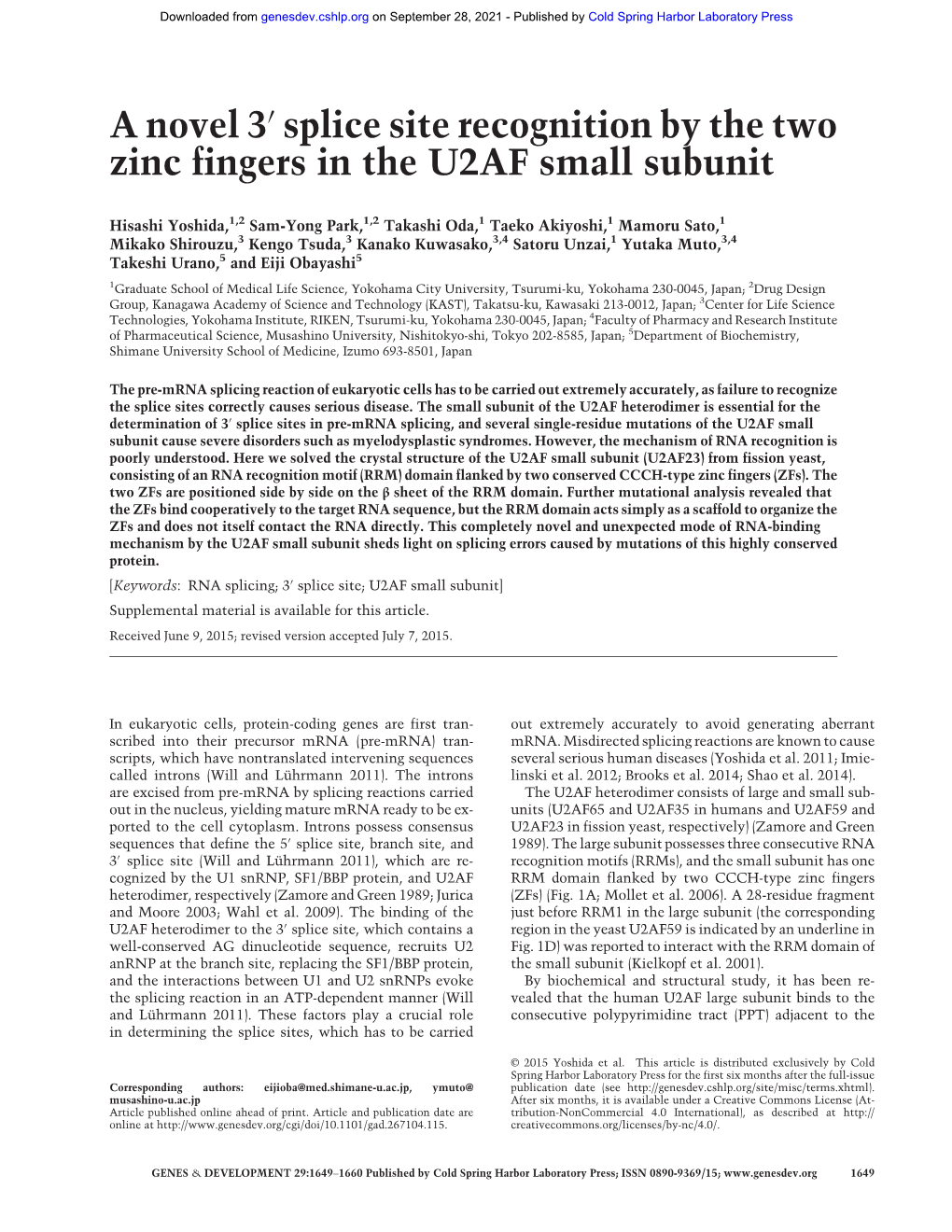 Splice Site Recognition by the Two Zinc Fingers in the U2AF Small Subunit