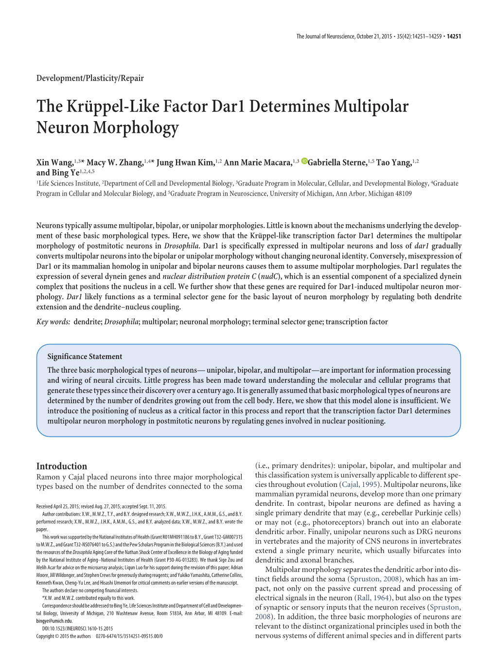The Krüppel-Like Factor Dar1 Determines Multipolar Neuron