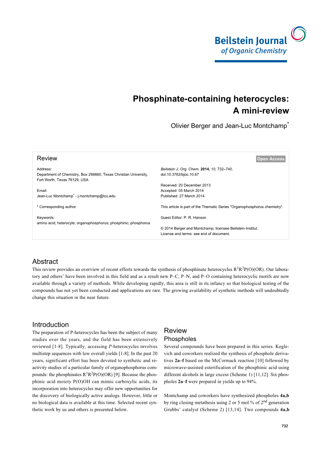 Phosphinate-Containing Heterocycles: a Mini-Review