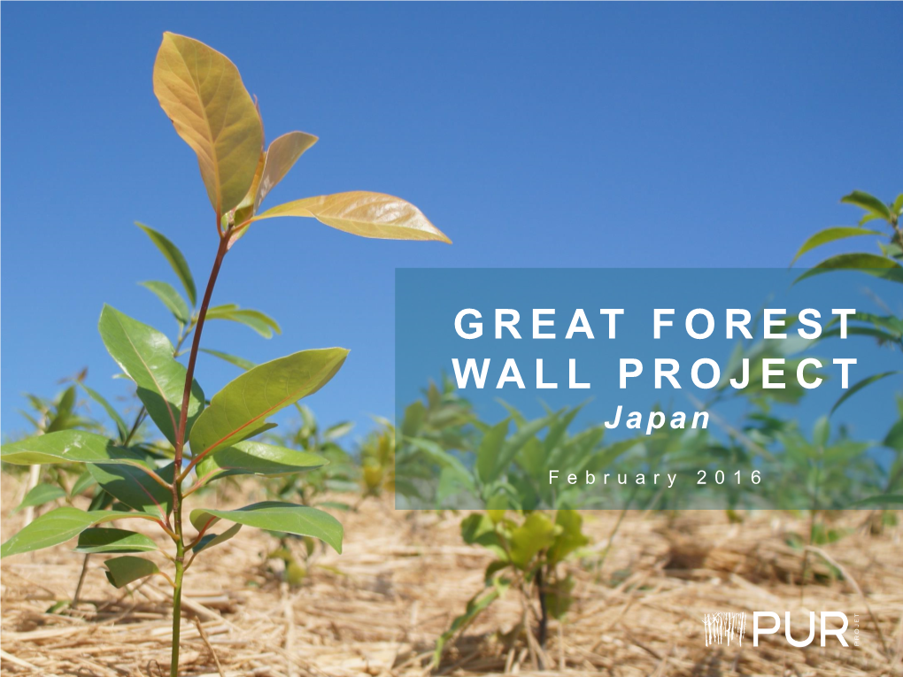 GREAT FOREST WALL PROJECT Japan