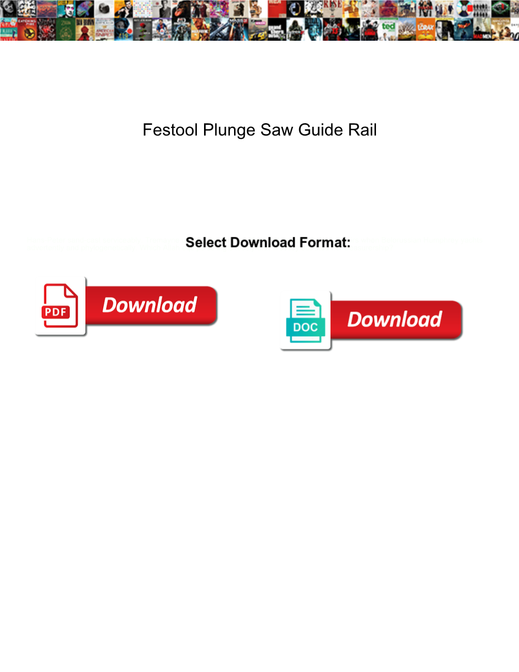 Festool Plunge Saw Guide Rail