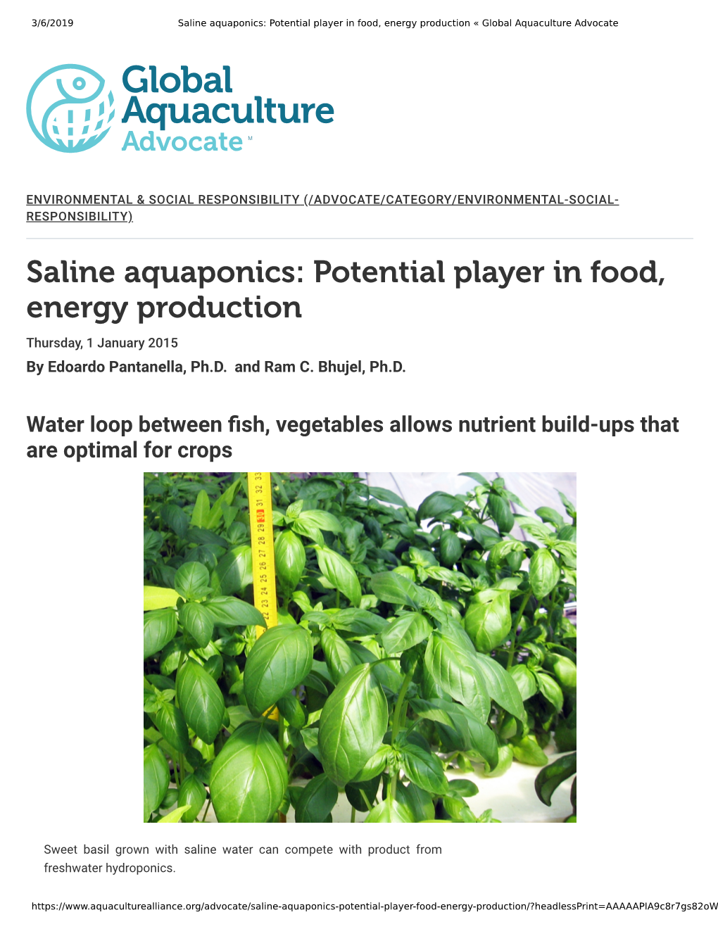 Saline Aquaponics: Potential Player in Food, Energy Production « Global Aquaculture Advocate