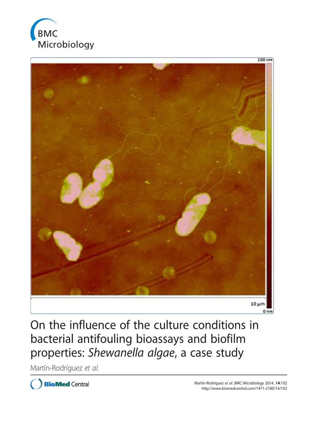 On the Influence of the Culture Conditions in Bacterial Antifouling Bioassays and Biofilm Properties: Shewanella Algae, a Case Study Martín-Rodríguez Et Al