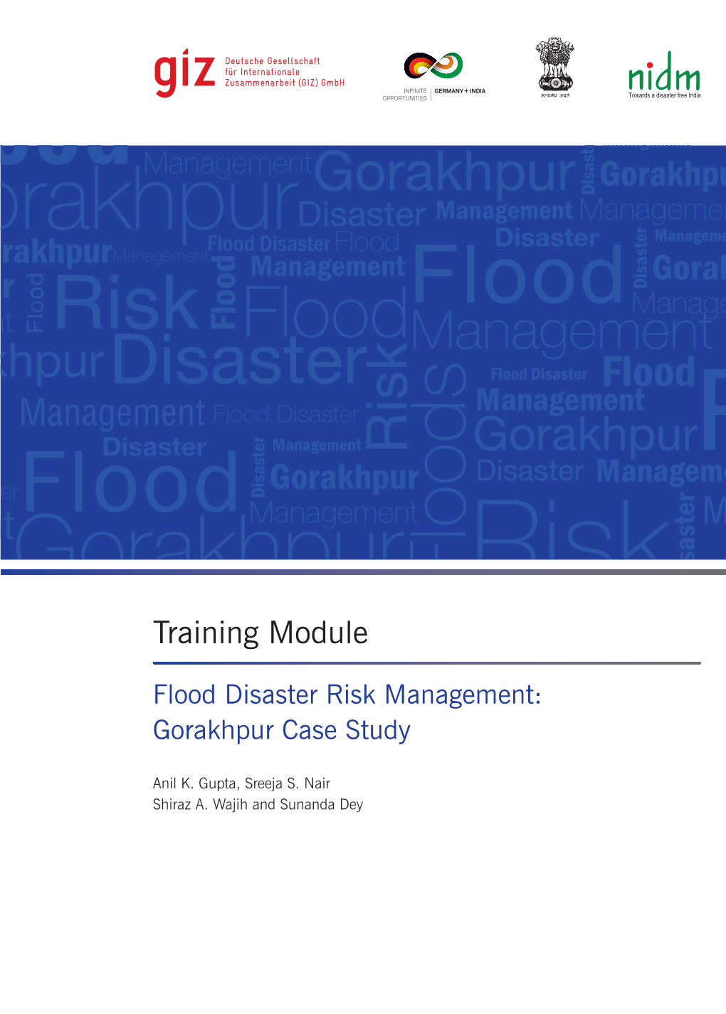 Flood Disaster Risk Management – Gorakhpur Case Study