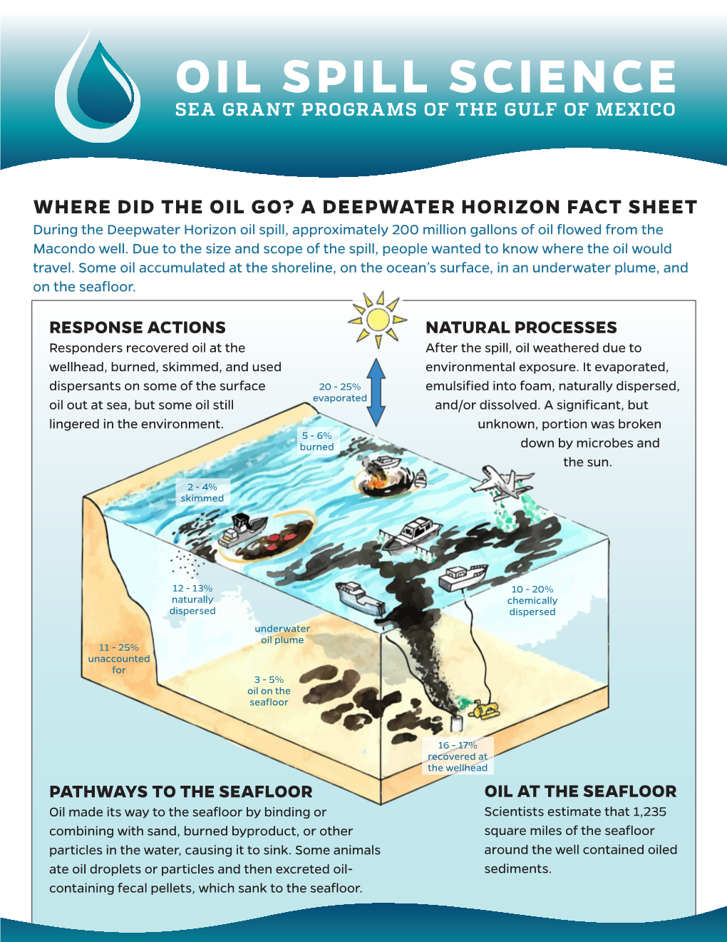 WHERE DID the OIL GO? a DEEPWATER HORIZON FACT SHEET During the Deepwater Horizon Oil Spill, Approximately 200 Million Gallons of Oil Flowed from the Macondo Well