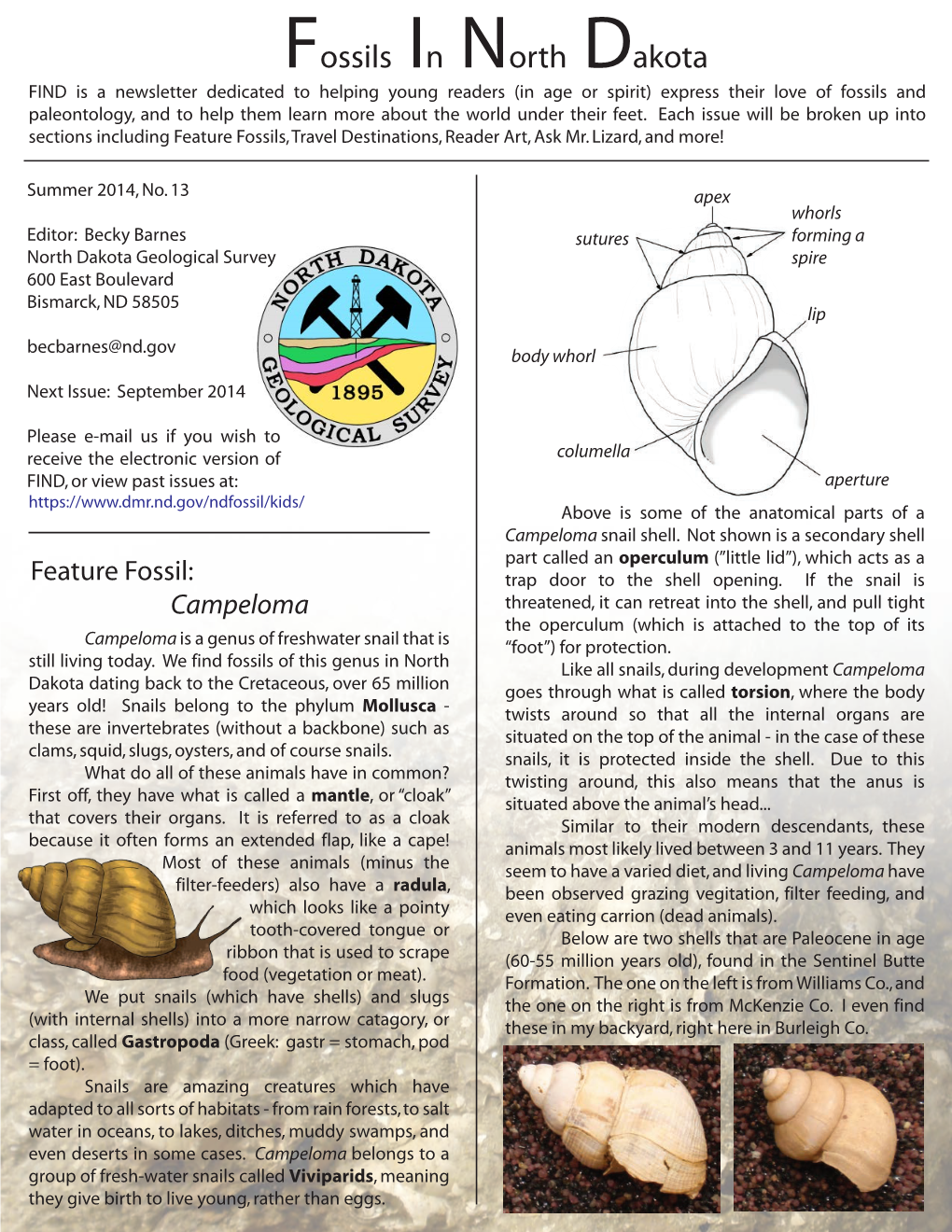 Fossils in North Dakota