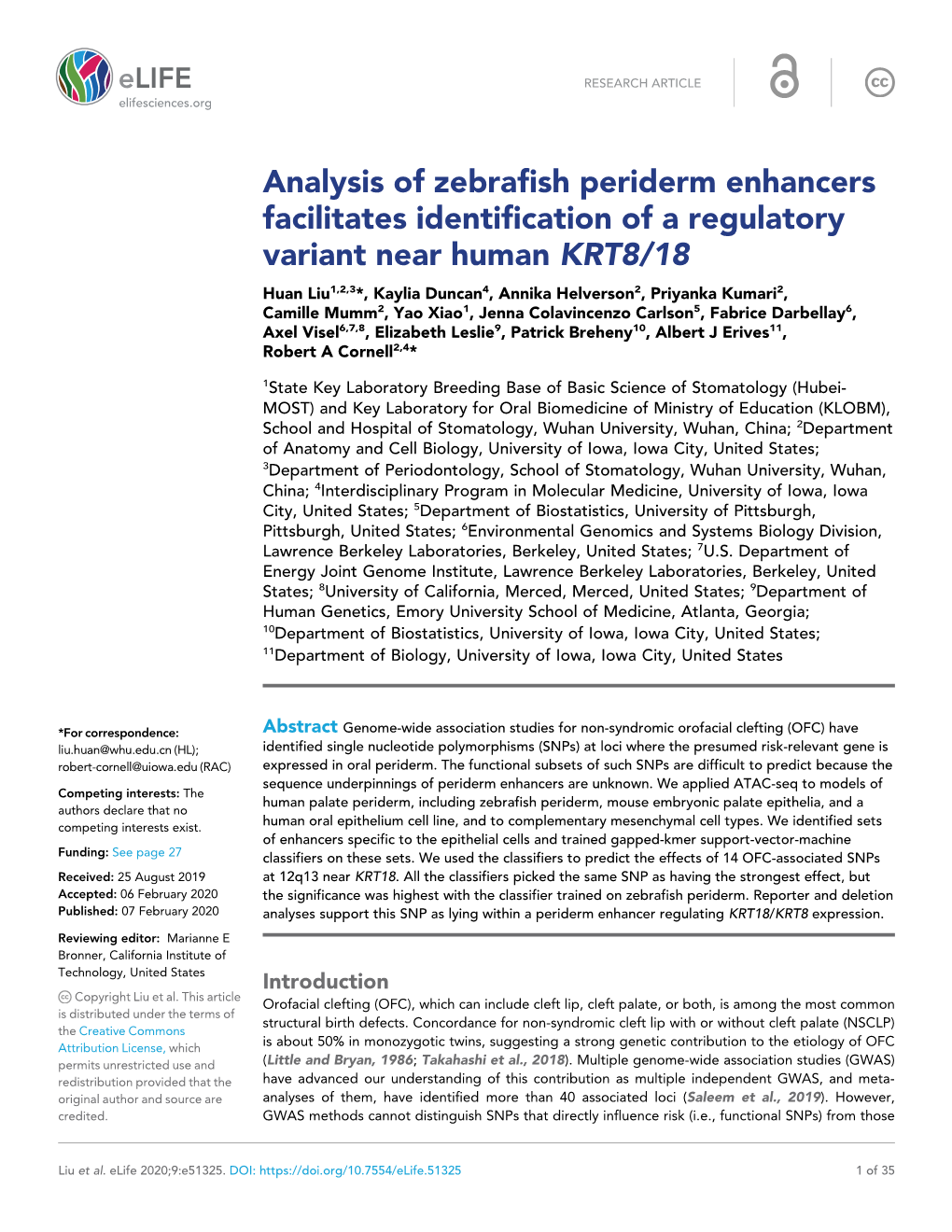 Analysis of Zebrafish Periderm Enhancers Facilitates Identification of a Regulatory Variant Near Human KRT8/18
