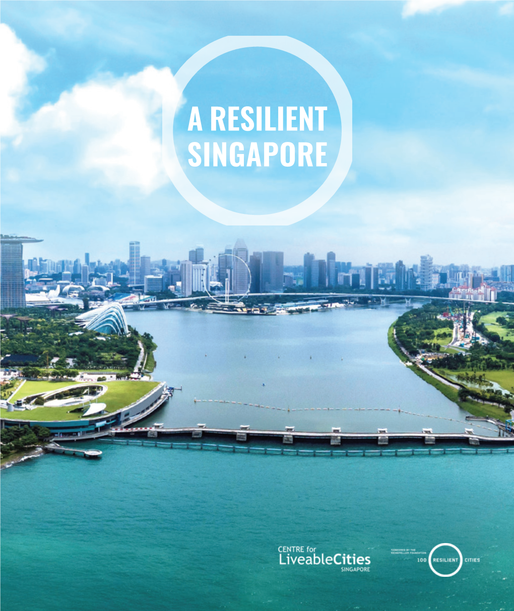 A Resilient Singapore 01