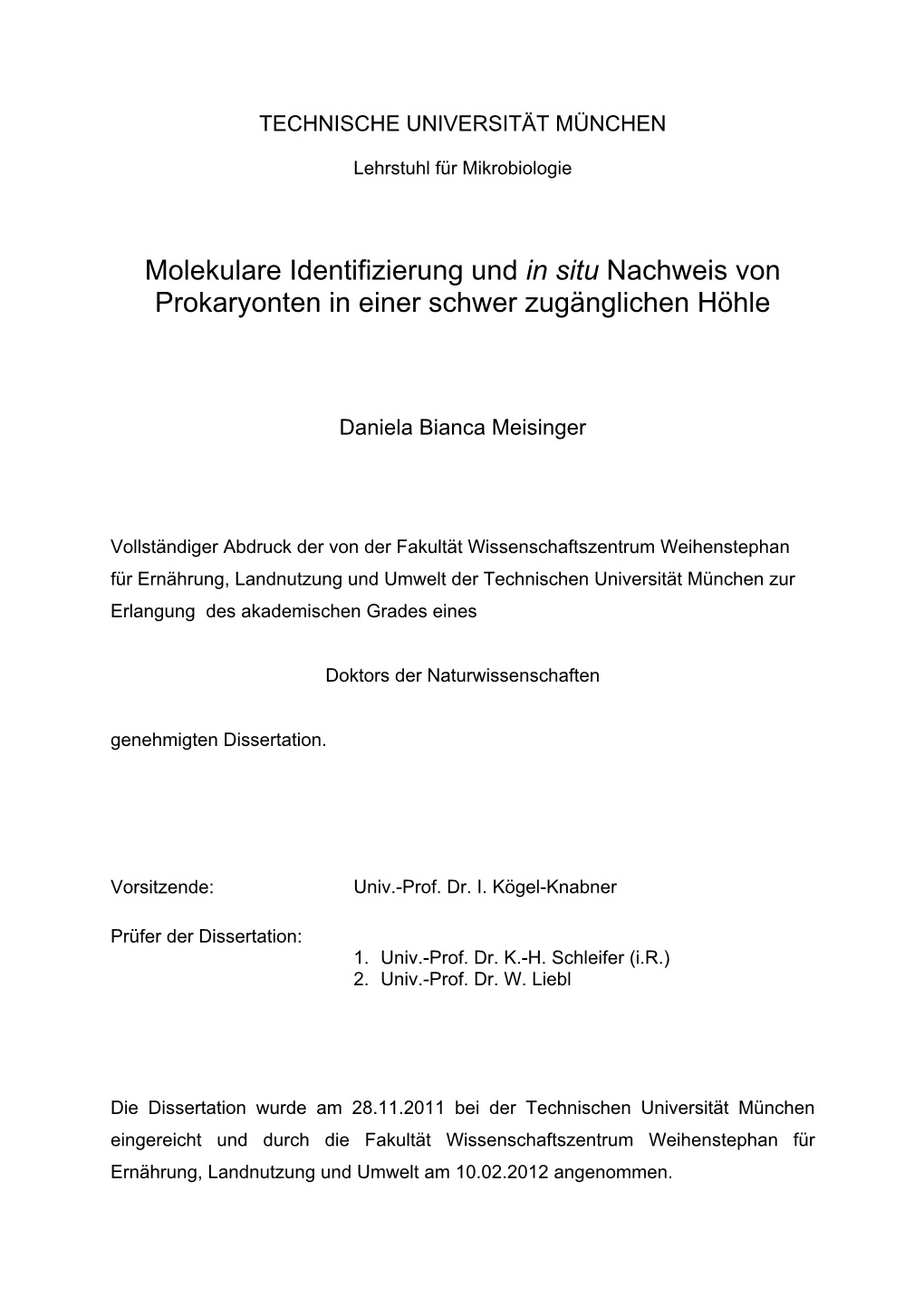 Molekulare Identifizierung Und in Situ Nachweis Von Prokaryonten in Einer Schwer Zugänglichen Höhle