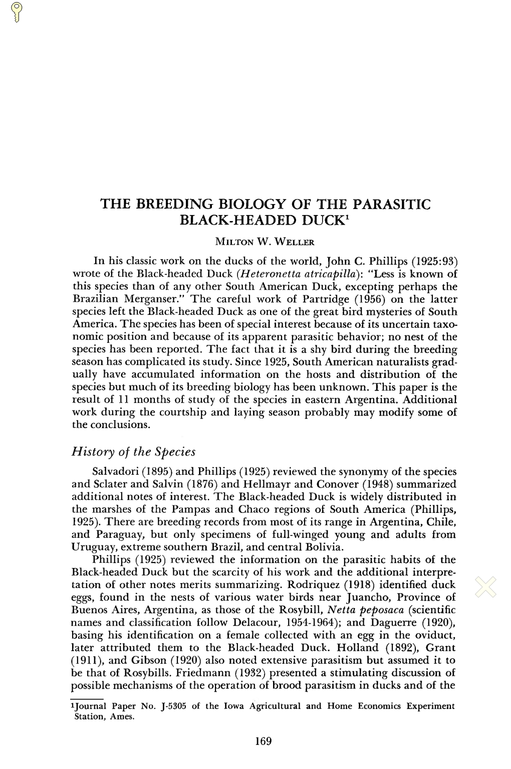 The Breeding Biology of the Parasitic Black-Headed Duck