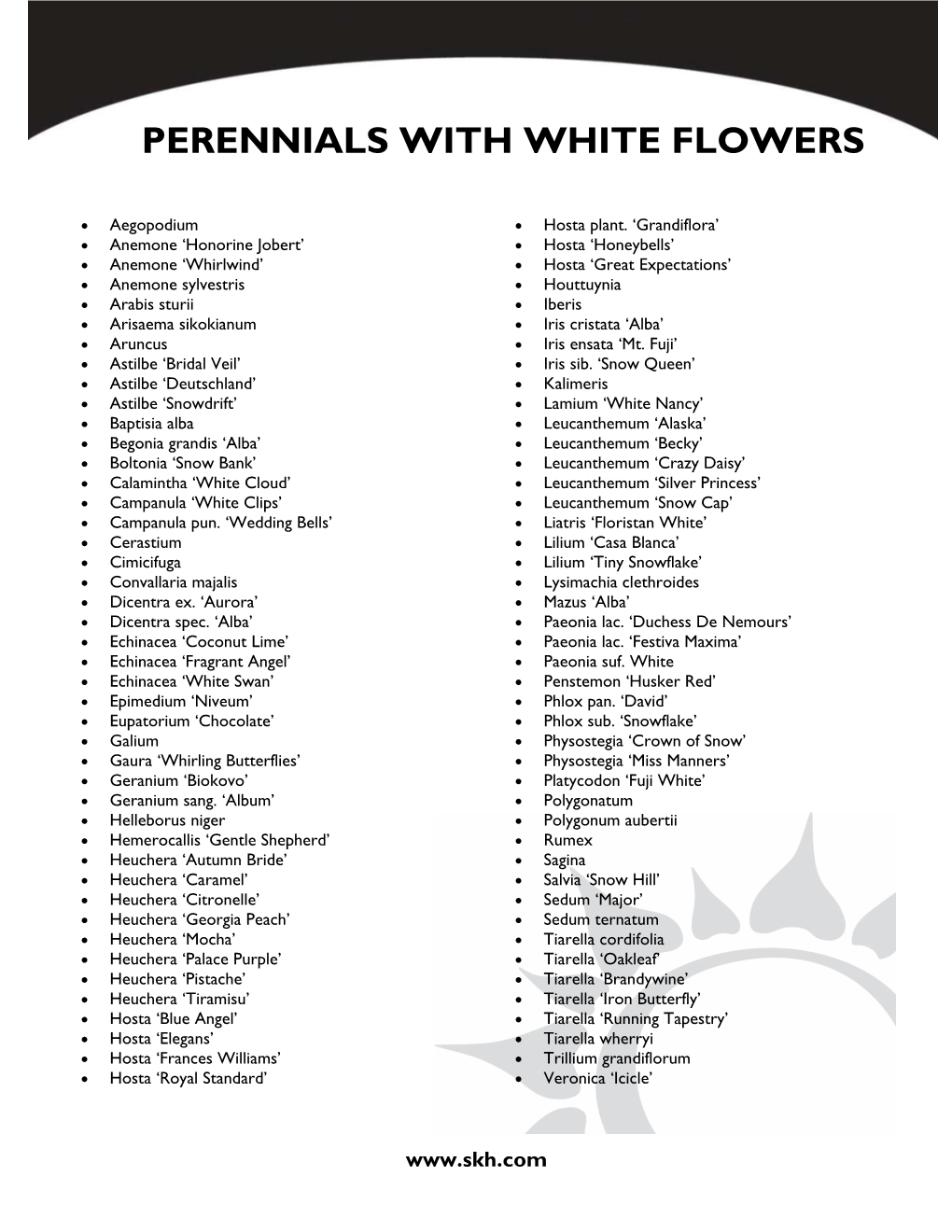 Perennials with White Flowers