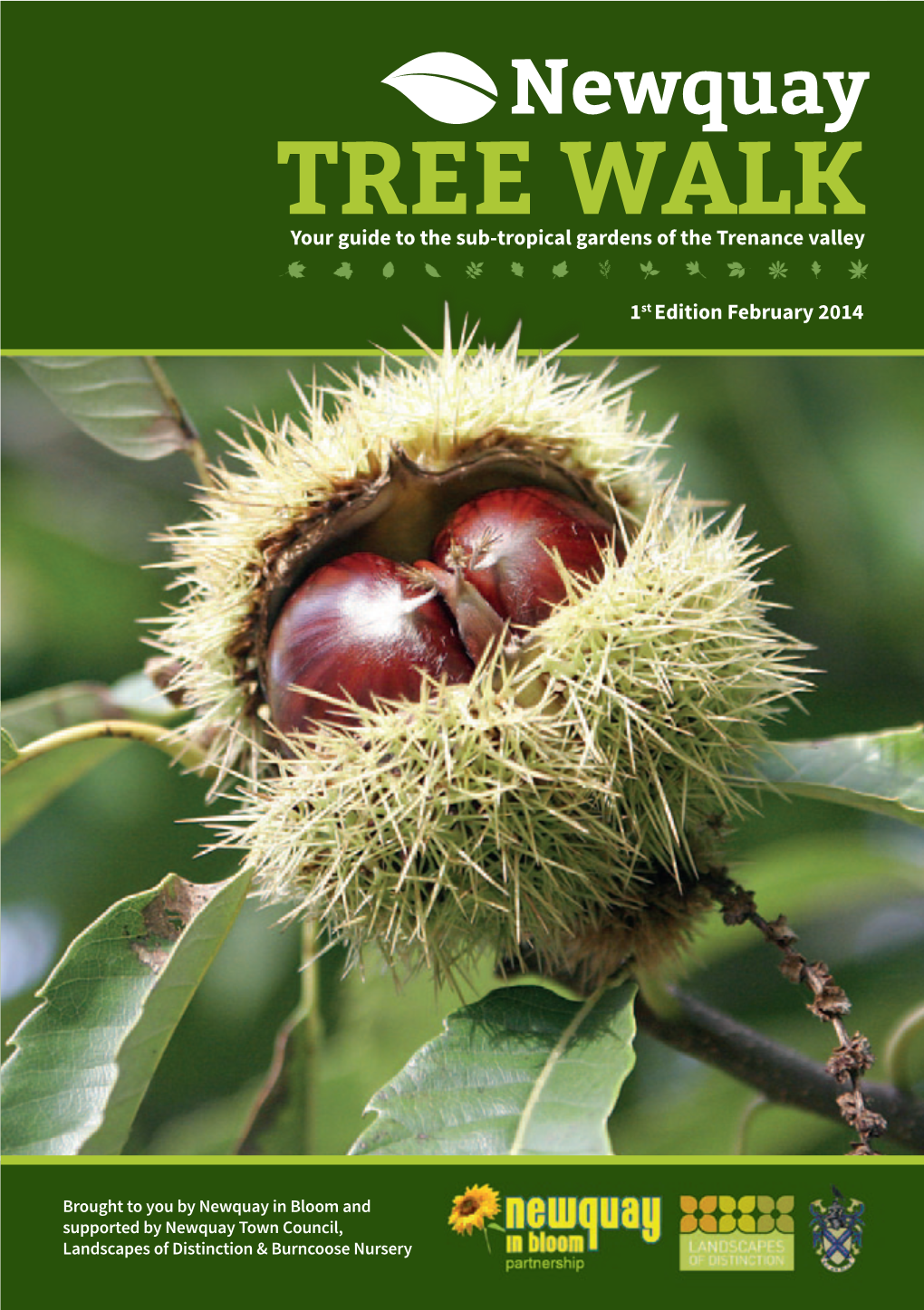 Newquay TREE WALK 1St Edition February 2014