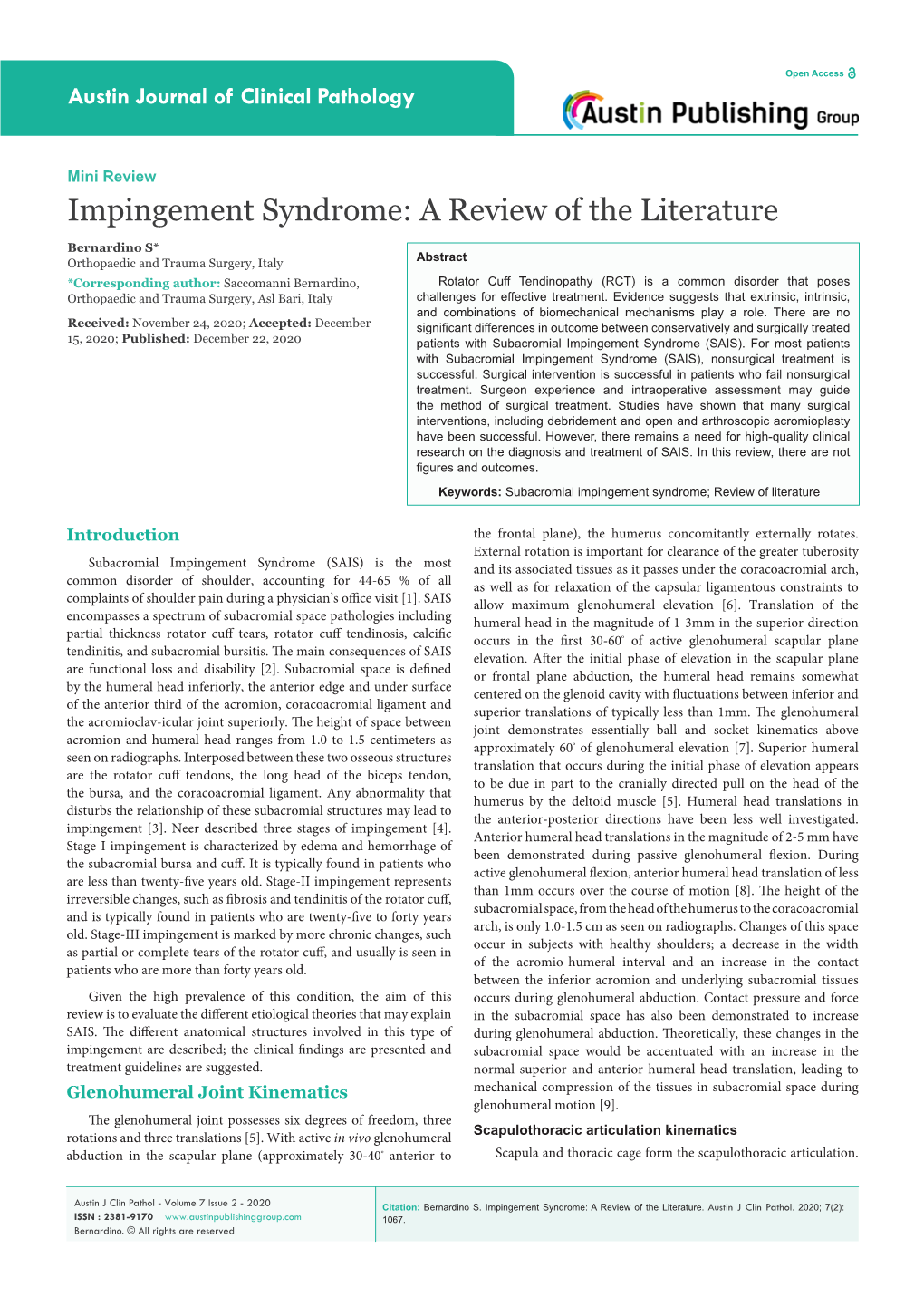 Impingement Syndrome: a Review of the Literature