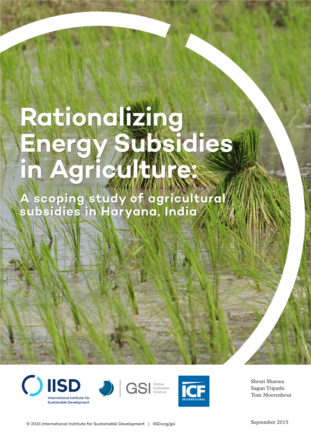 Rationalizing Energy Subsidies in Agriculture: a Scoping Study of Agricultural Subsidies in Haryana, India