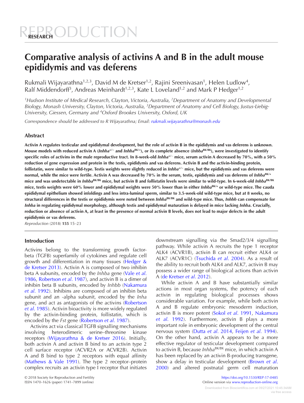 Comparative Analysis of Activins a and B in the Adult Mouse Epididymis and Vas Deferens