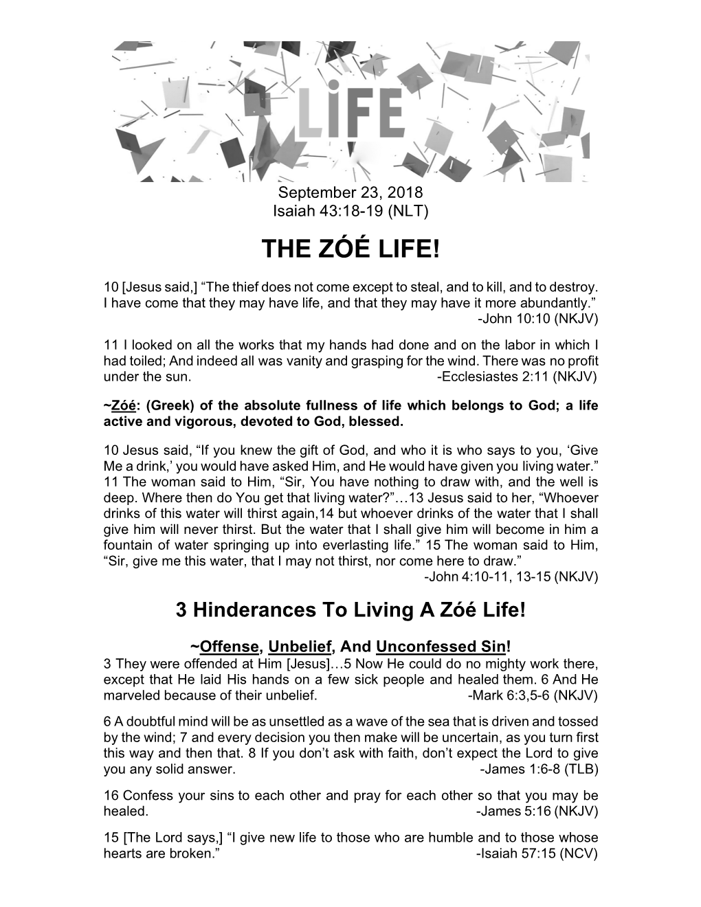 The Zóé Life!
