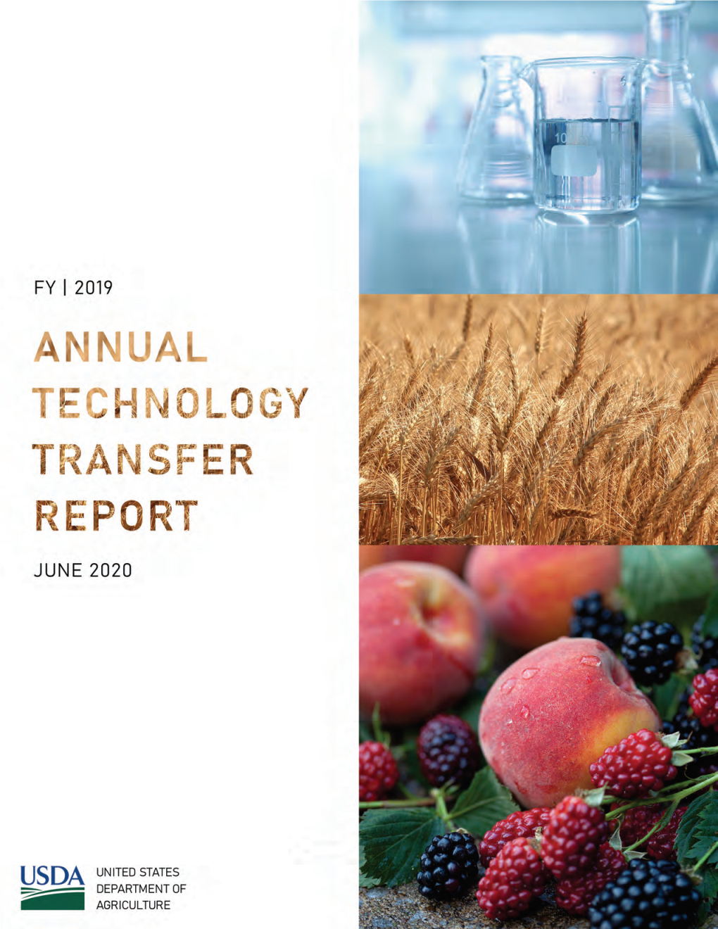 FY 2019 Annual Technology Transfer Report