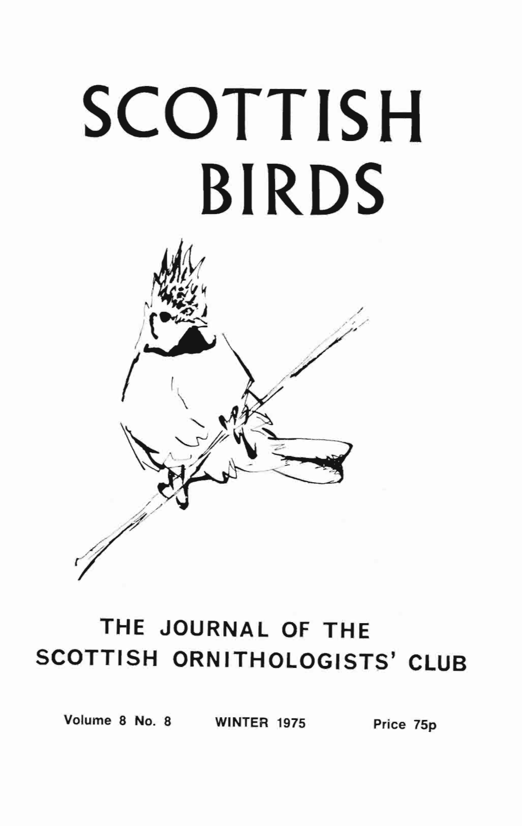 Scottish Birds