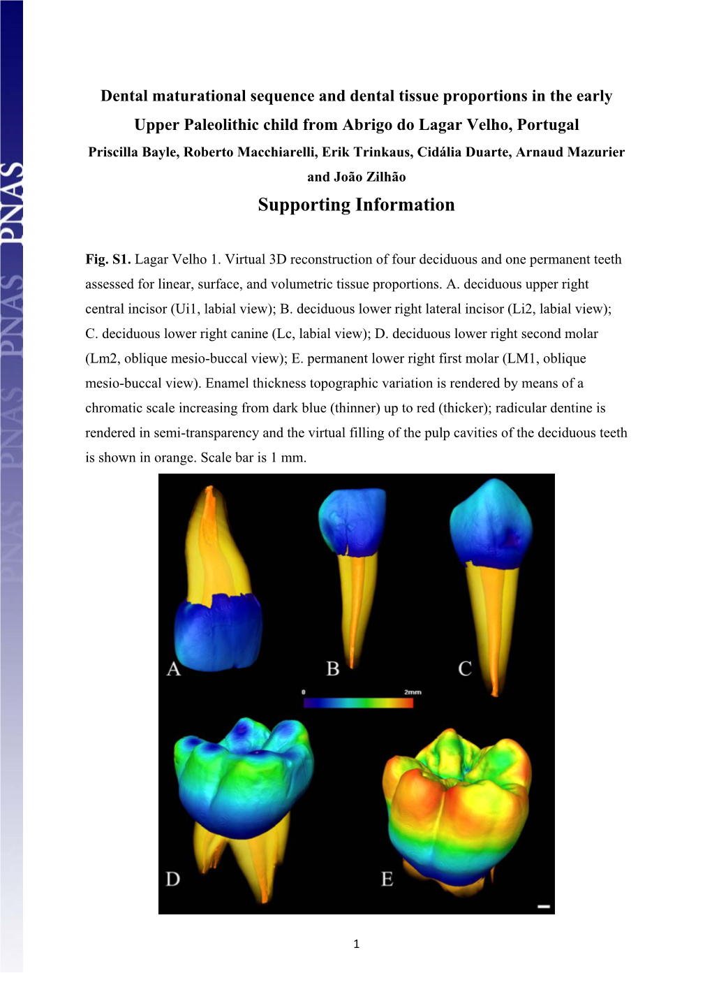 Bayesian Analysis of the Dental Maturational Sequences of Lagar