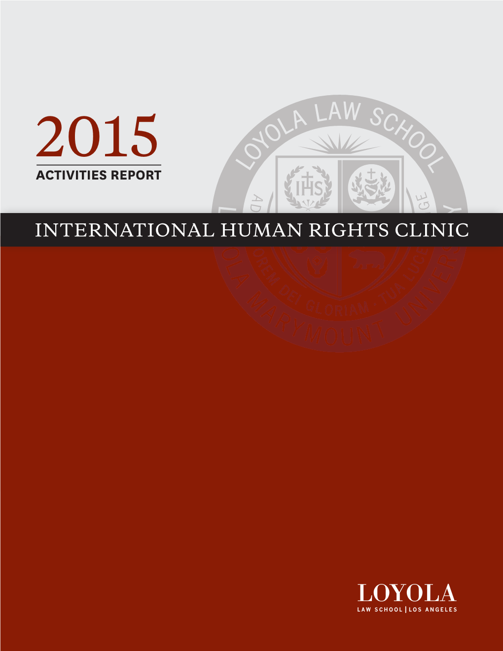 International Human Rights Clinic