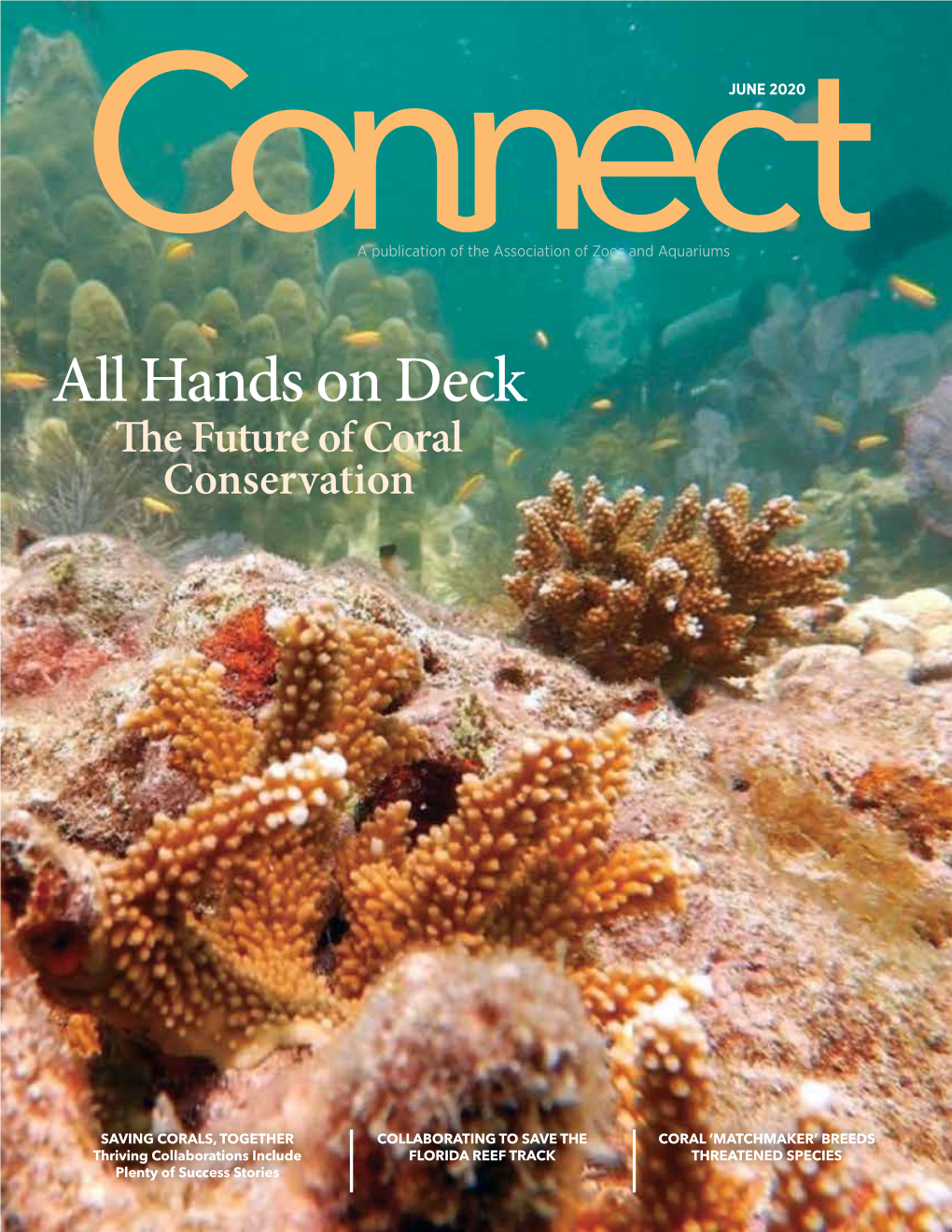 All Hands on Deck the Future of Coral Conservation