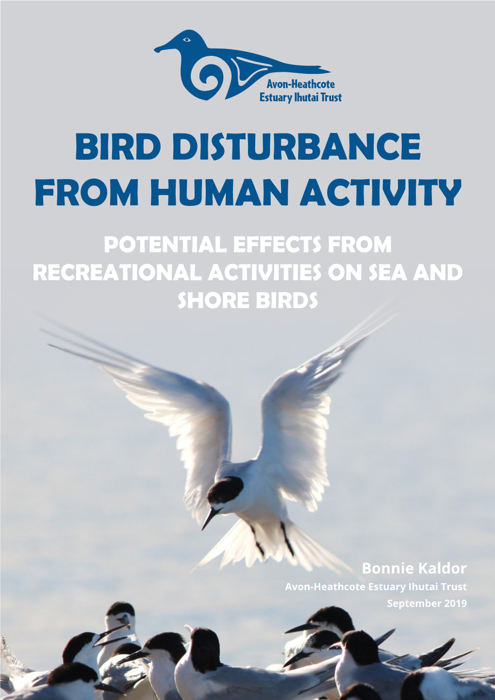 Bird Disturbance from Human Activity Potential Effects from Recreational Activities on Sea and Shore Birds