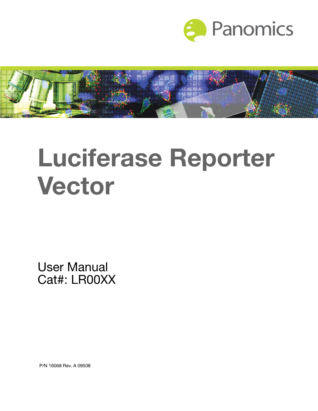 Luciferase Reporter Vector