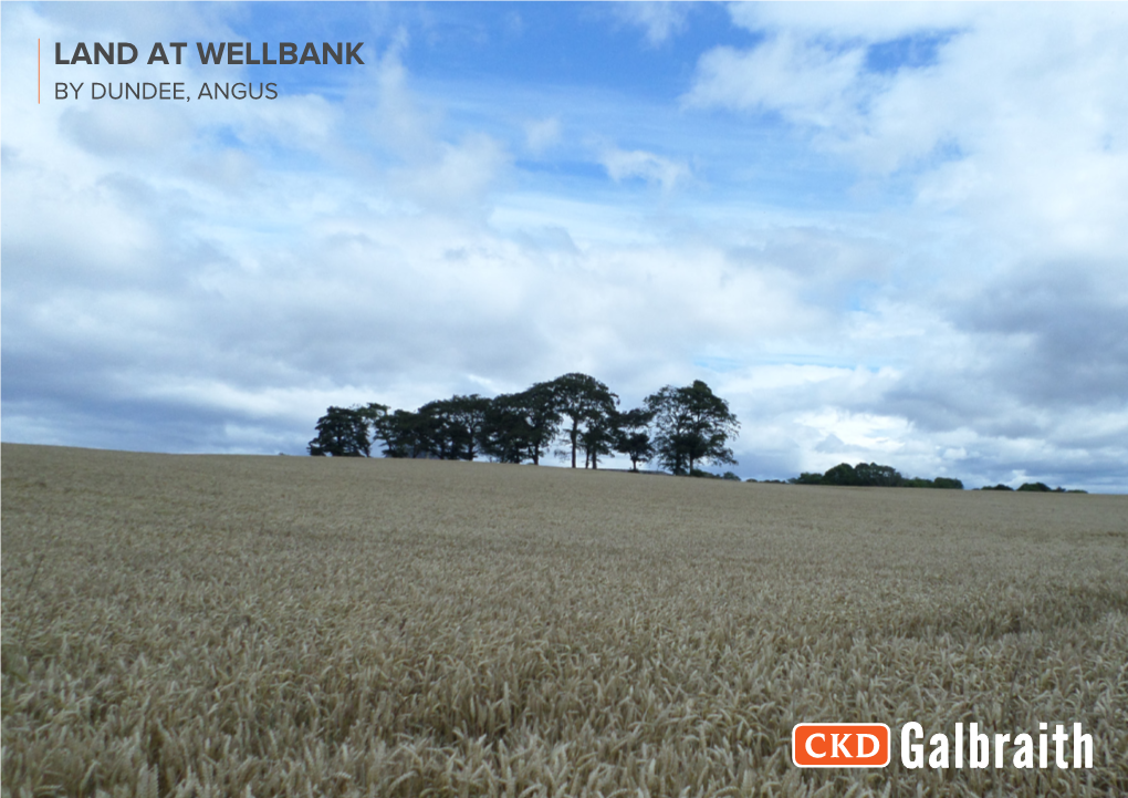Land at Wellbank by Dundee, Angus Land at Wellbank by Dundee Angus