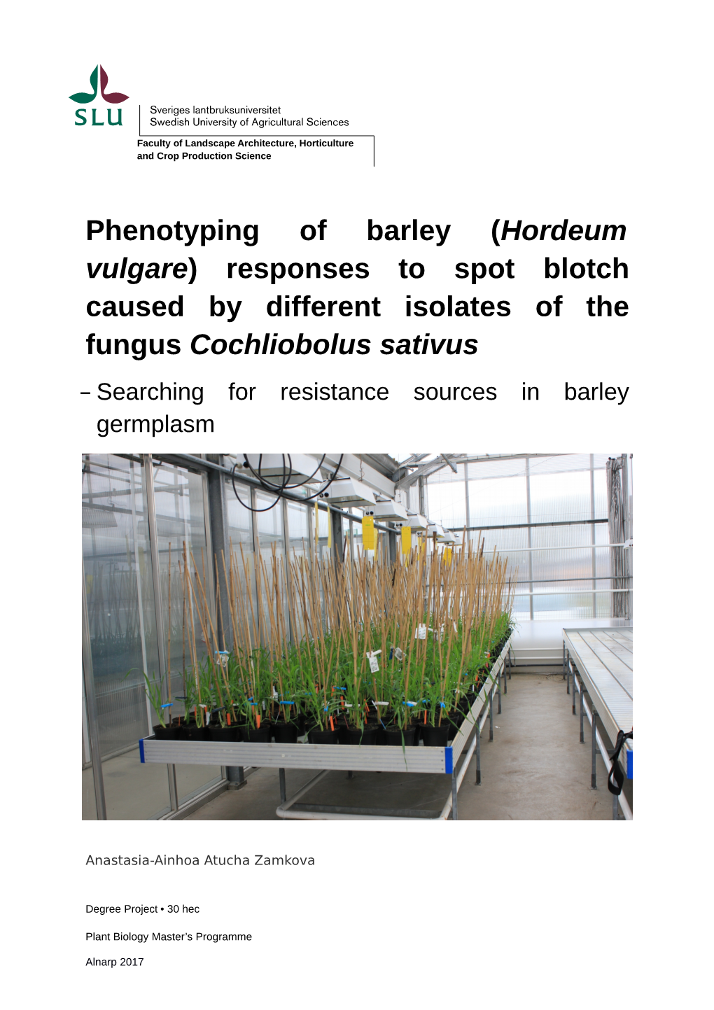 (Hordeum Vulgare) Responses to Spot Blotch Caused by Different Isolates of the Fungus Cochliobolus Sativus – Searching for Resistance Sources in Barley Germplasm