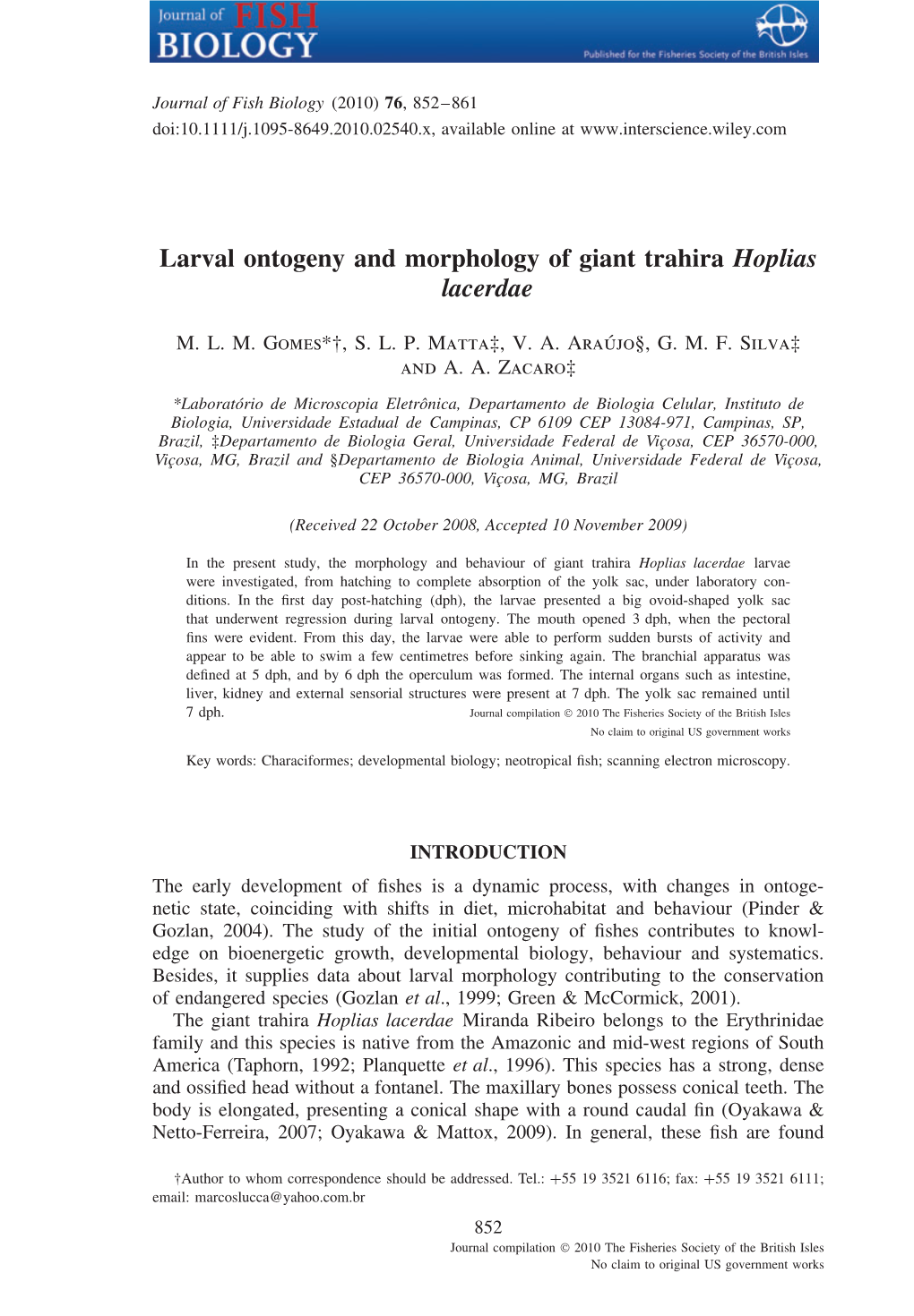 Larval Ontogeny and Morphology of Giant Trahira Hoplias Lacerdae