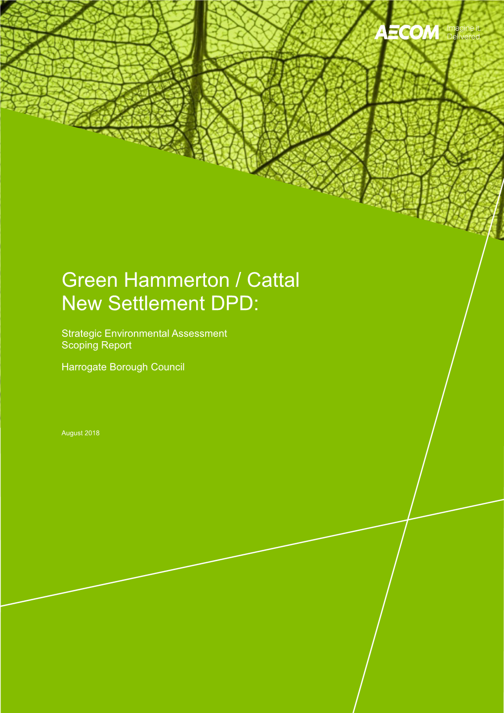 Green Hammerton Scoping Report