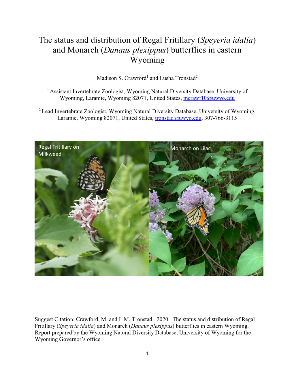 The Status and Distribution of Regal Fritillary (Speyeria Idalia) and Monarch (Danaus Plexippus) Butterflies in Eastern Wyoming