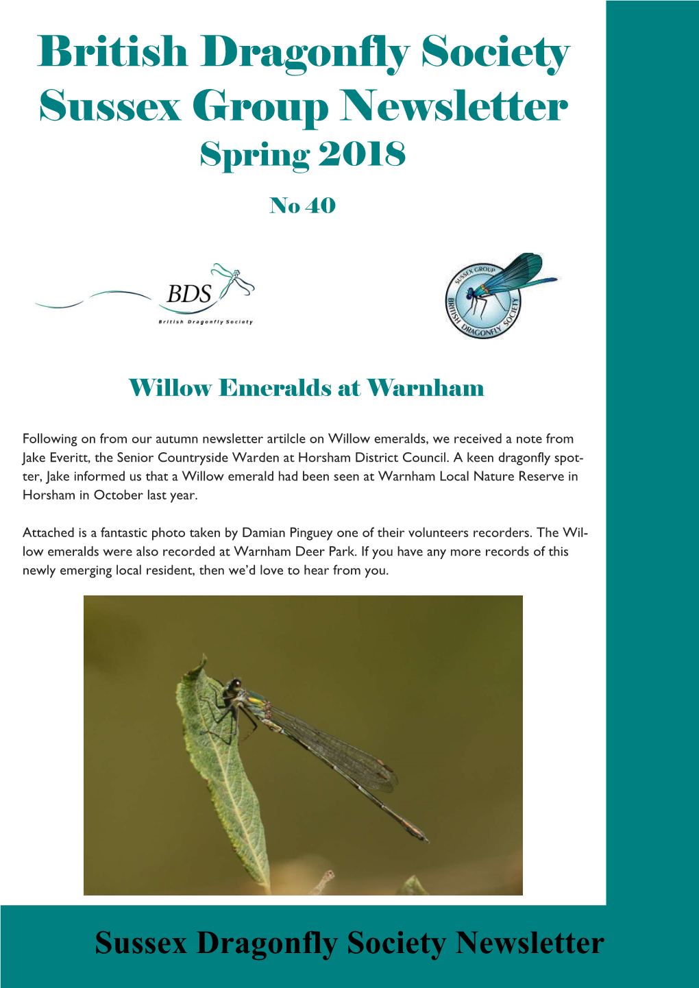 Sussex Dragonfly Society Newsletter