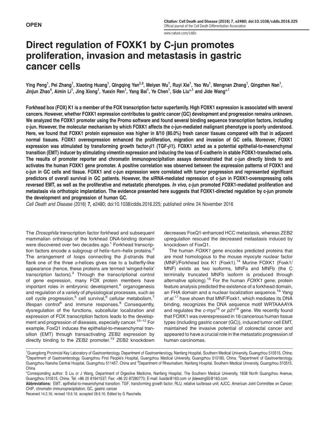 Direct Regulation of FOXK1 by C-Jun Promotes Proliferation, Invasion and Metastasis in Gastric Cancer Cells