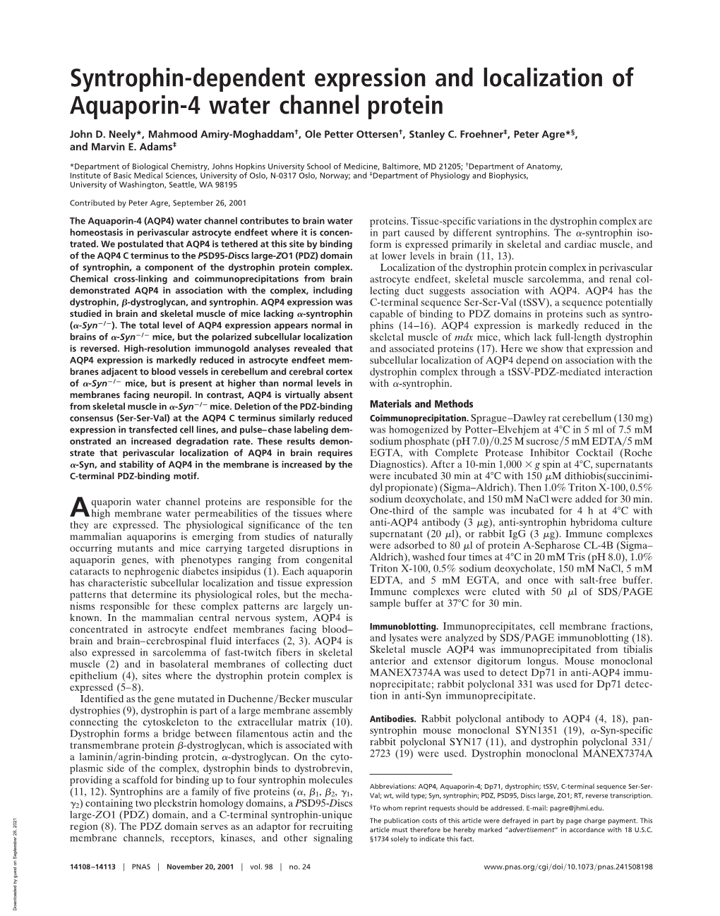 Syntrophin-Dependent Expression and Localization of Aquaporin-4 Water Channel Protein