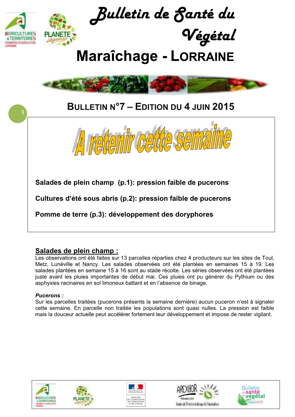 BSV Maraîchage N°7 Du 04/06/2015