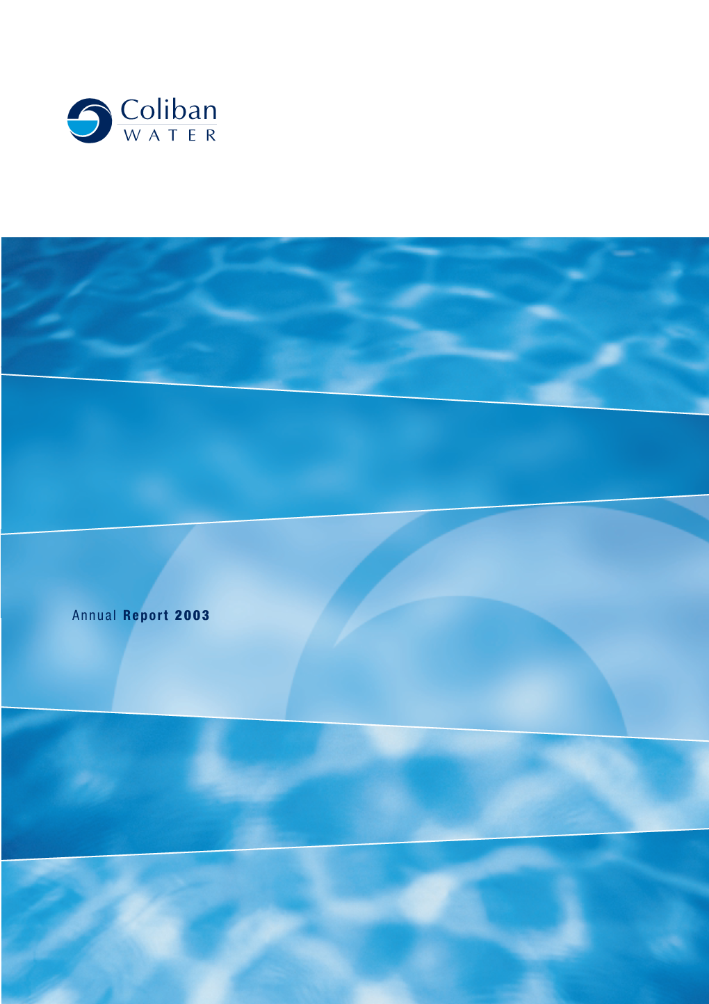 Annual Report 2003 BUILDING a SUSTAINABLE WATER BUSINESS >ECONOMIC PERFORMANCE >ENVIRONMENTAL PERFORMANCE >SOCIAL PERFORMANCE