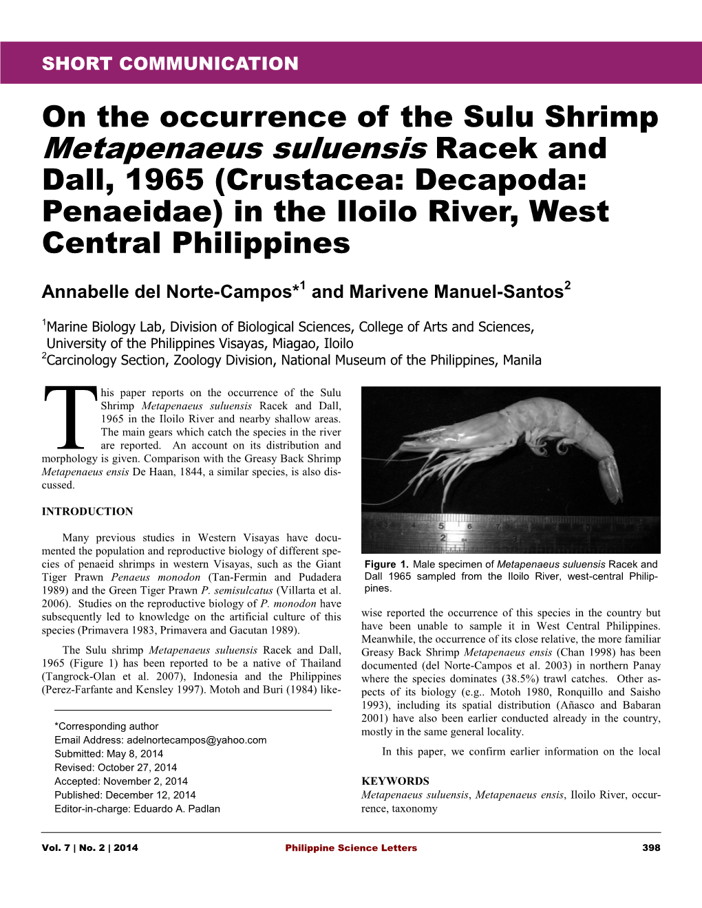 Metapenaeus Suluensis Racek and Dall, 1965 (Crustacea: Decapoda: Penaeidae) in the Iloilo River, West Central Philippines