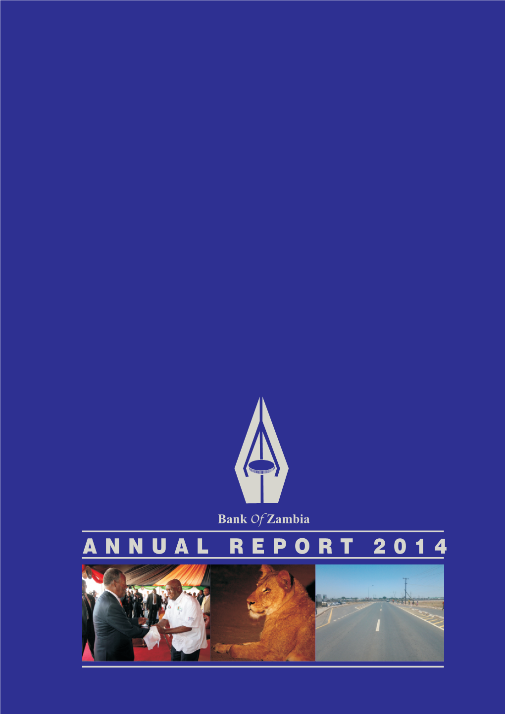 Boz Annual Report 2014